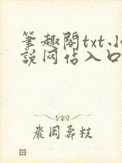 笔趣阁txt小说网站入口
