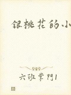 银桃花的小说