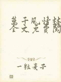 万千风情林小涛全文免费阅读