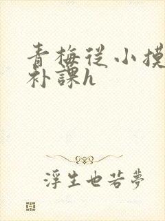 青梅从小摸到大补课h