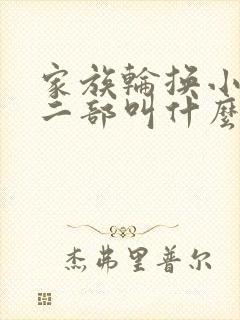 家族轮换小说第二部叫什么名字
