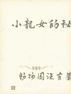 小龙女的秘密