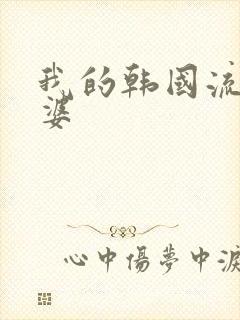 我的韩国流氓老婆