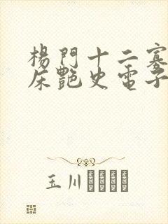 杨门十二寡妇肉床艳史电子书