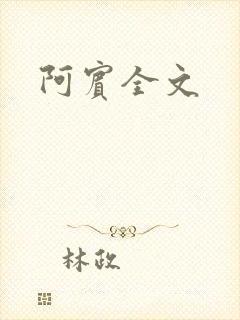 阿宾全文