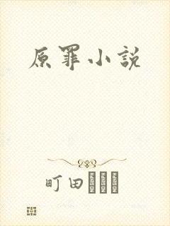原罪小说
