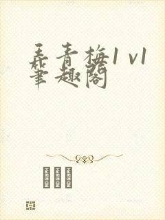 弄青梅1 v1笔趣阁