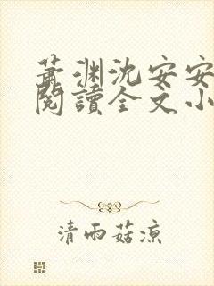 萧渊沈安安免费阅读全文小说