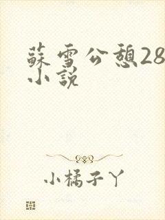 苏雪公憩28篇小说