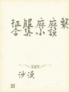 征服麻麻系列大合集小说