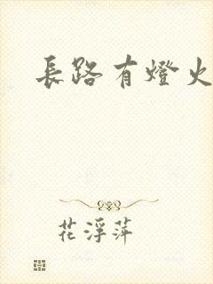 长路有灯火