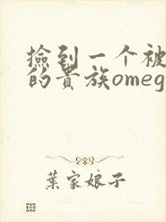 捡到一个被抹布的贵族omega