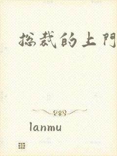 总裁的上门女婿