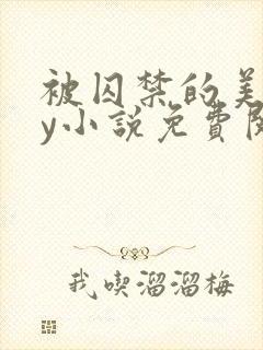 被囚禁的美人by小说免费阅读