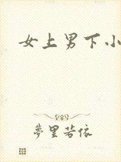 女上男下小说