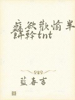 瘾欲欢愉半块小饼干tnt