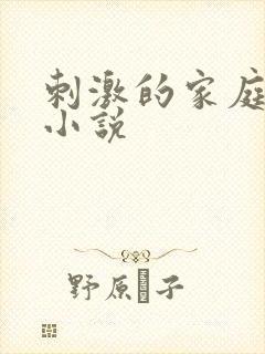 刺激的家庭乱仑小说