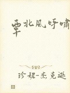 西北风呼啸的中午