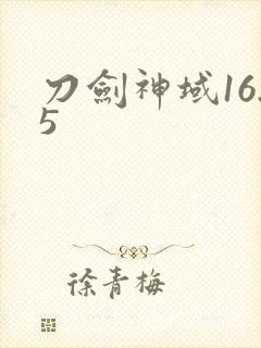 刀剑神域16.5