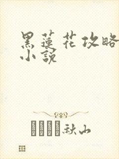 黑莲花攻略手册小说