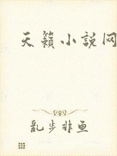 天籁小说网
