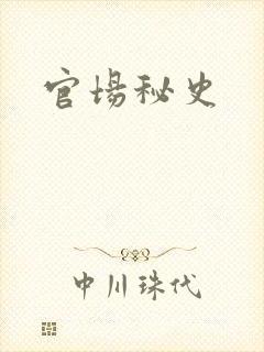 官场秘史