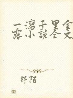 一泻千里金银花露小说全文免费阅读