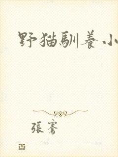 野猫驯养小说