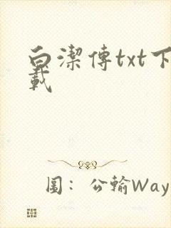 白洁传txt下载