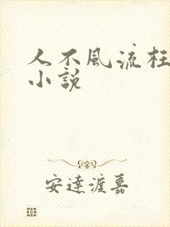 人不风流枉少年小说