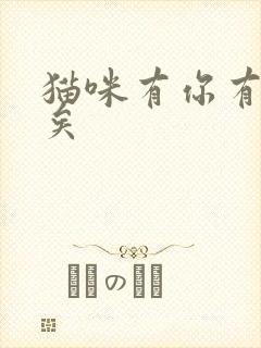 猫咪有你有我足矣