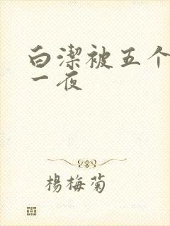 白洁被五个人玩一夜
