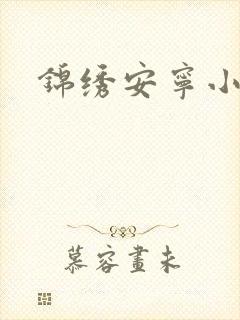 锦绣安宁小说