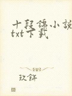 十段锦小说全本txt下载