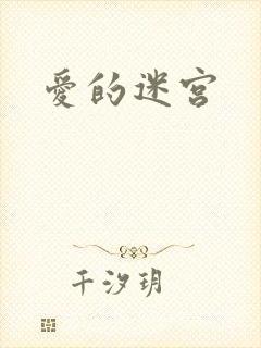 爱的迷宫