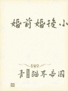 婚前婚后小说