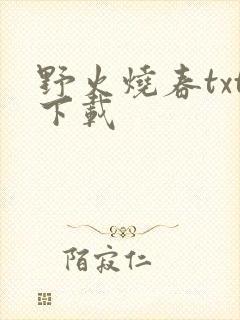 野火烧春txt下载