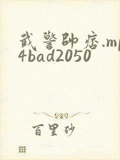 武警帅痞.mp4bad2050