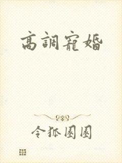 高调宠婚