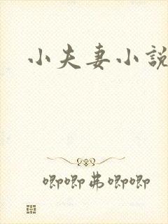 小夫妻小说
