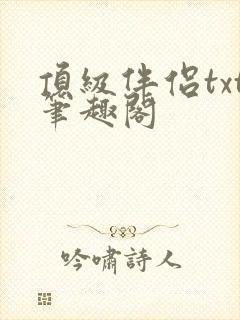 顶级伴侣txt笔趣阁