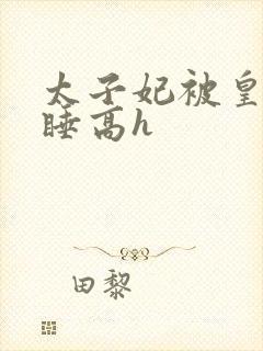 太子妃被皇上强睡高h