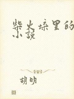 柴火垛里的疯狂小说