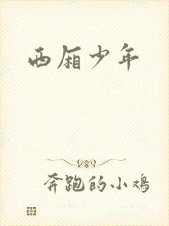 西厢少年