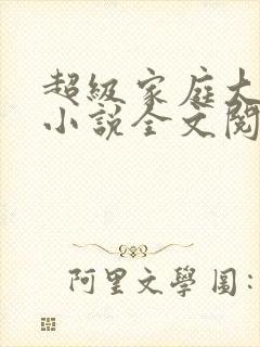 超级家庭大杂烩小说全文阅读