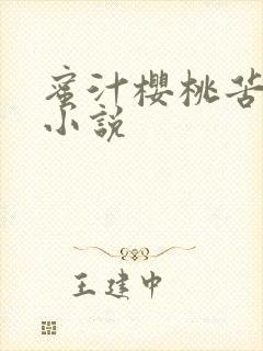 蜜汁樱桃苦咖啡小说