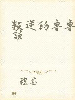 叛逆的鲁鲁修小说