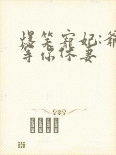 爆笑宠妃:爷我等你休妻