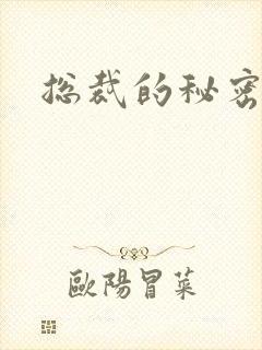 总裁的秘密情人