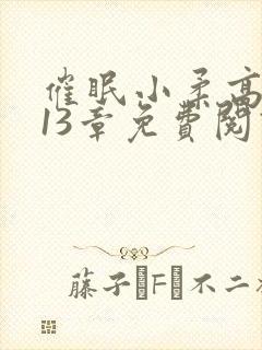 催眠小柔高达第13章免费阅读